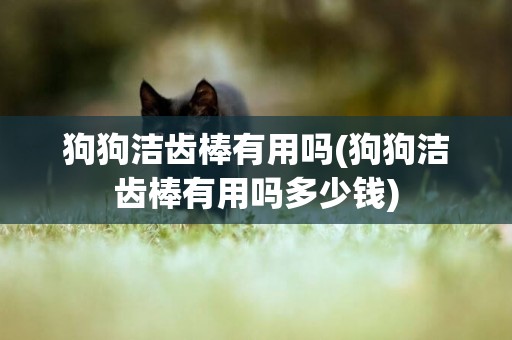 狗狗潔齒棒有用嗎(狗狗潔齒棒有用嗎多少錢)