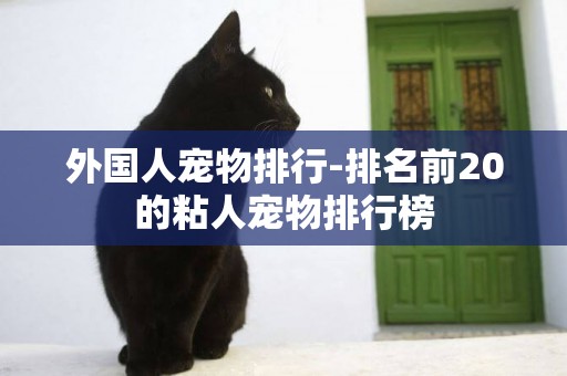 外國人寵物排行-排名前20的粘人寵物排行榜