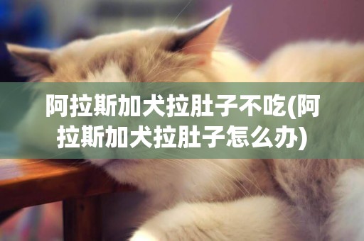 阿拉斯加犬拉肚子不吃(阿拉斯加犬拉肚子怎么辦)