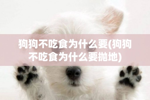 狗狗不吃食為什么要(狗狗不吃食為什么要拋地)
