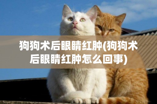 狗狗術后眼睛紅腫(狗狗術后眼睛紅腫怎么回事)