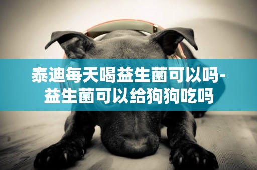 泰迪每天喝益生菌可以嗎-益生菌可以給狗狗吃嗎
