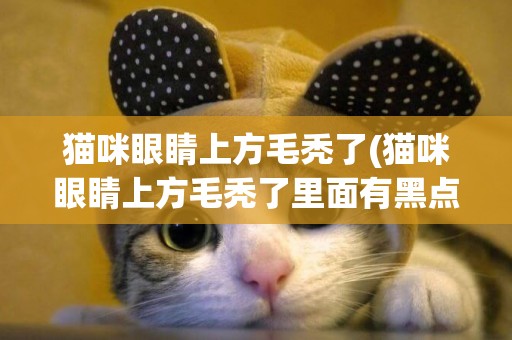 貓咪眼睛上方毛禿了(貓咪眼睛上方毛禿了里面有黑點)