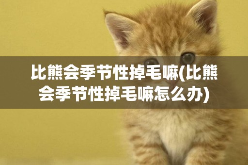 比熊會季節性掉毛嘛(比熊會季節性掉毛嘛怎么辦)