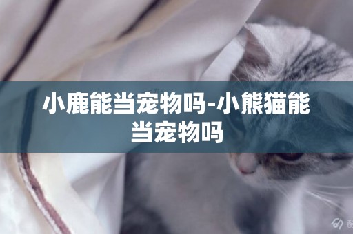 小鹿能當寵物嗎-小熊貓能當寵物嗎