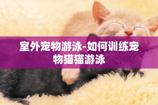 室外寵物游泳-如何訓練寵物貓貓游泳