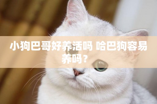 小狗巴哥好養活嗎 哈巴狗容易養嗎？ 