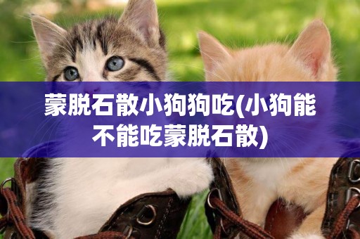 蒙脫石散小狗狗吃(小狗能不能吃蒙脫石散)