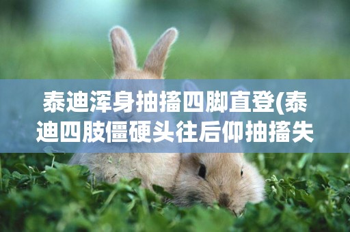 泰迪渾身抽搐四腳直登(泰迪四肢僵硬頭往后仰抽搐失去意識)