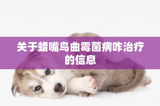 關于蠟嘴鳥曲霉菌病咋治療的信息