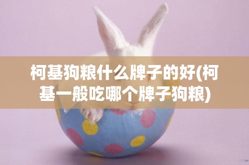 柯基狗糧什么牌子的好(柯基一般吃哪個牌子狗糧)