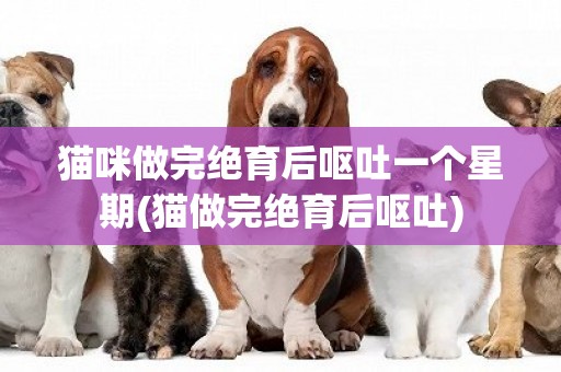 貓咪做完絕育后嘔吐一個星期(貓做完絕育后嘔吐)