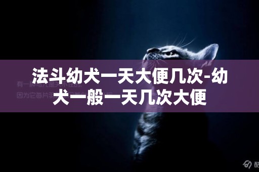 法斗幼犬一天大便幾次-幼犬一般一天幾次大便