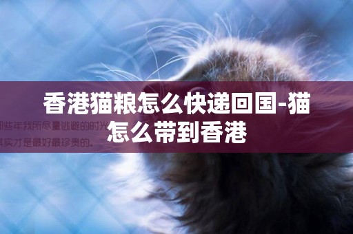 香港貓糧怎么快遞回國-貓怎么帶到香港