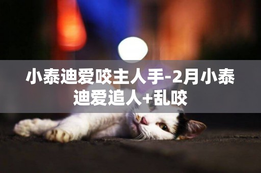 小泰迪愛咬主人手-2月小泰迪愛追人+亂咬
