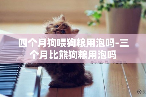 四個月狗喂狗糧用泡嗎-三個月比熊狗糧用泡嗎