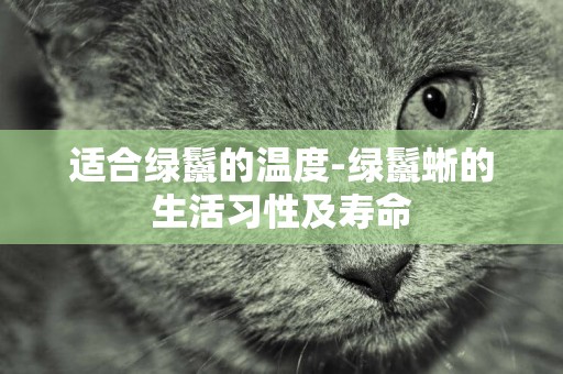 適合綠鬣的溫度-綠鬣蜥的生活習性及壽命