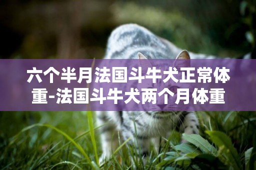 六個半月法國斗牛犬正常體重-法國斗牛犬兩個月體重
