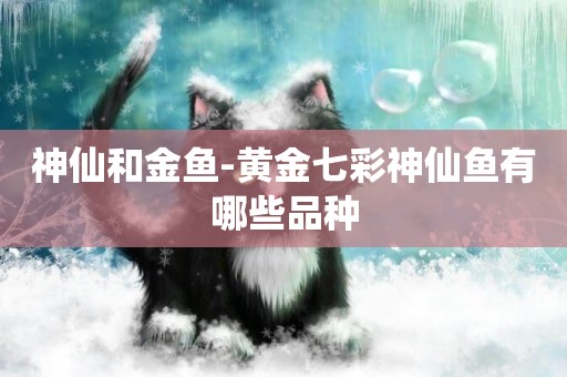 神仙和金魚-黃金七彩神仙魚有哪些品種