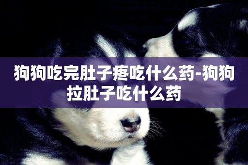 狗狗吃完肚子疼吃什么藥-狗狗拉肚子吃什么藥