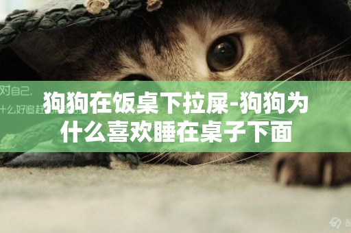 狗狗在飯桌下拉屎-狗狗為什么喜歡睡在桌子下面