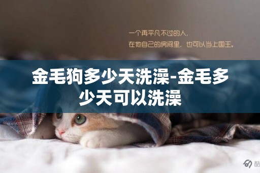 金毛狗多少天洗澡-金毛多少天可以洗澡