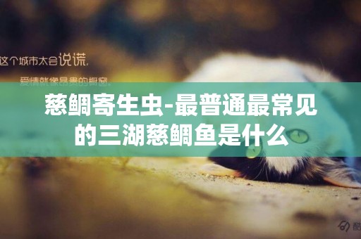 慈鯛寄生蟲-最普通最常見的三湖慈鯛魚是什么