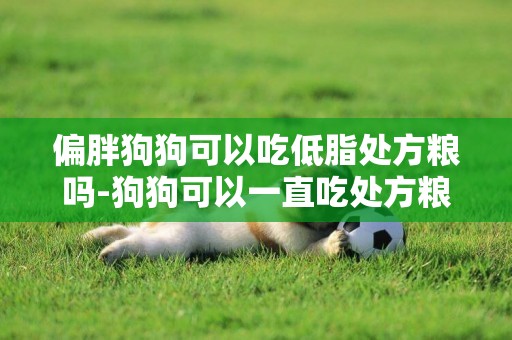 偏胖狗狗可以吃低脂處方糧嗎-狗狗可以一直吃處方糧嗎