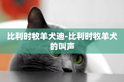 比利時牧羊犬迪-比利時牧羊犬的叫聲