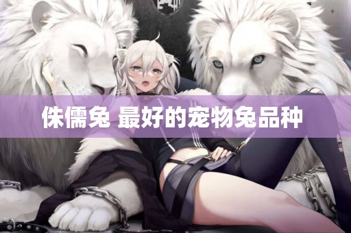 侏儒兔 最好的寵物兔品種 