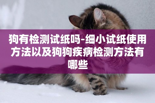 狗有檢測試紙嗎-細小試紙使用方法以及狗狗疾病檢測方法有哪些
