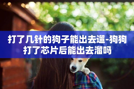 打了幾針的狗子能出去遛-狗狗打了芯片后能出去溜嗎