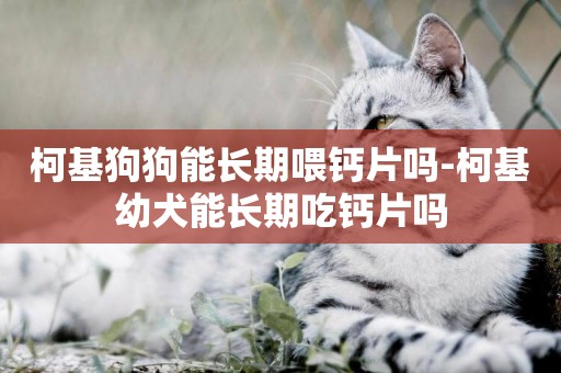 柯基狗狗能長期喂鈣片嗎-柯基幼犬能長期吃鈣片嗎
