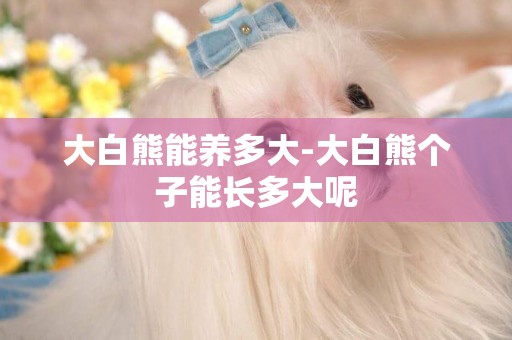 大白熊能養多大-大白熊個子能長多大呢