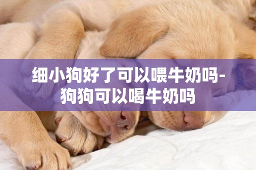 細小狗好了可以喂牛奶嗎-狗狗可以喝牛奶嗎