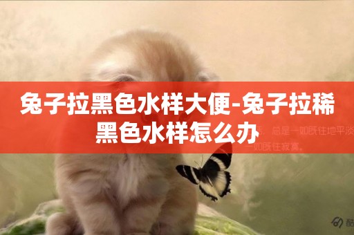 兔子拉黑色水樣大便-兔子拉稀黑色水樣怎么辦