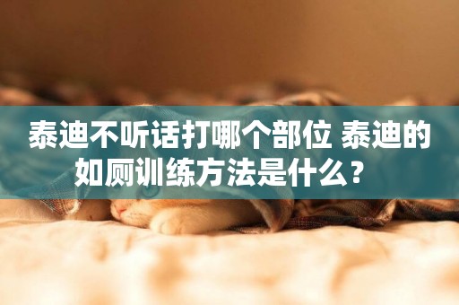 泰迪不聽話打哪個部位 泰迪的如廁訓練方法是什么？ 