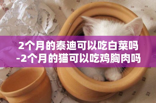 2個月的泰迪可以吃白菜嗎-2個月的貓可以吃雞胸肉嗎