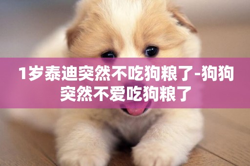 1歲泰迪突然不吃狗糧了-狗狗突然不愛吃狗糧了
