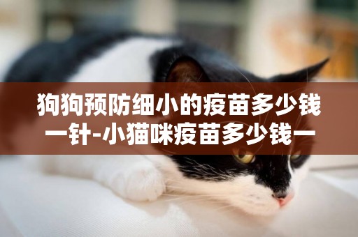 狗狗預防細小的疫苗多少錢一針-小貓咪疫苗多少錢一針