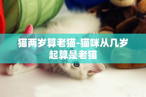貓兩歲算老貓-貓咪從幾歲起算是老貓