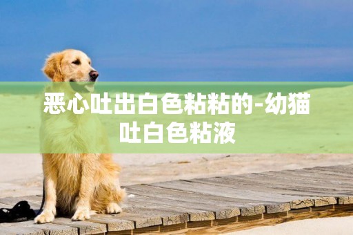 惡心吐出白色粘粘的-幼貓吐白色粘液