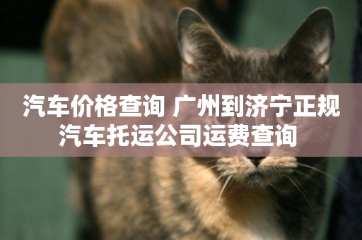 汽車價格查詢 廣州到濟寧正規汽車托運公司運費查詢 