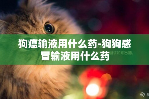 狗瘟輸液用什么藥-狗狗感冒輸液用什么藥