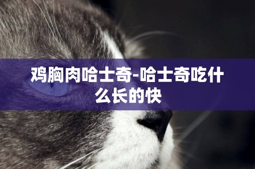 雞胸肉哈士奇-哈士奇吃什么長的快