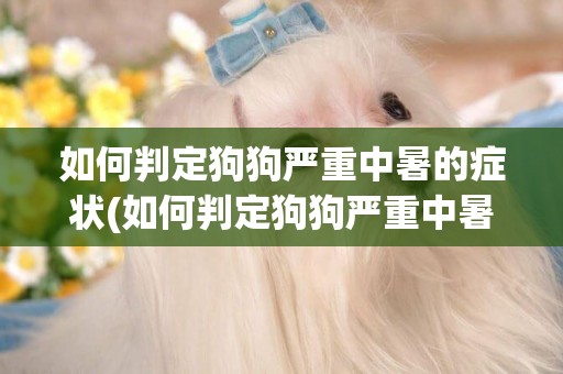 如何判定狗狗嚴重中暑的癥狀(如何判定狗狗嚴重中暑的癥狀圖片)