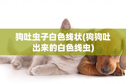 狗吐蟲子白色線狀(狗狗吐出來的白色線蟲)