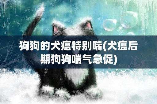 狗狗的犬瘟特別喘(犬瘟后期狗狗喘氣急促)