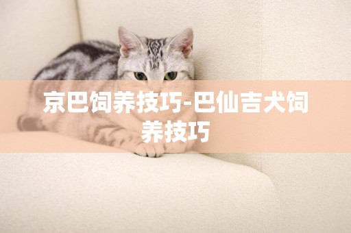 京巴飼養技巧-巴仙吉犬飼養技巧
