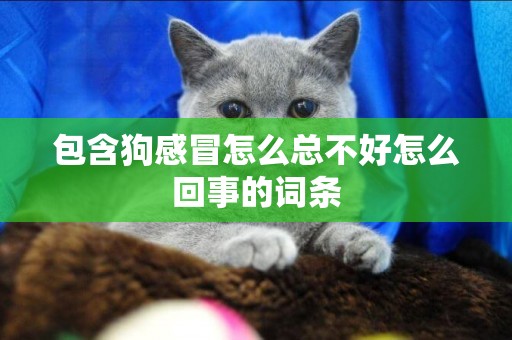 包含狗感冒怎么總不好怎么回事的詞條